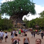 disney2